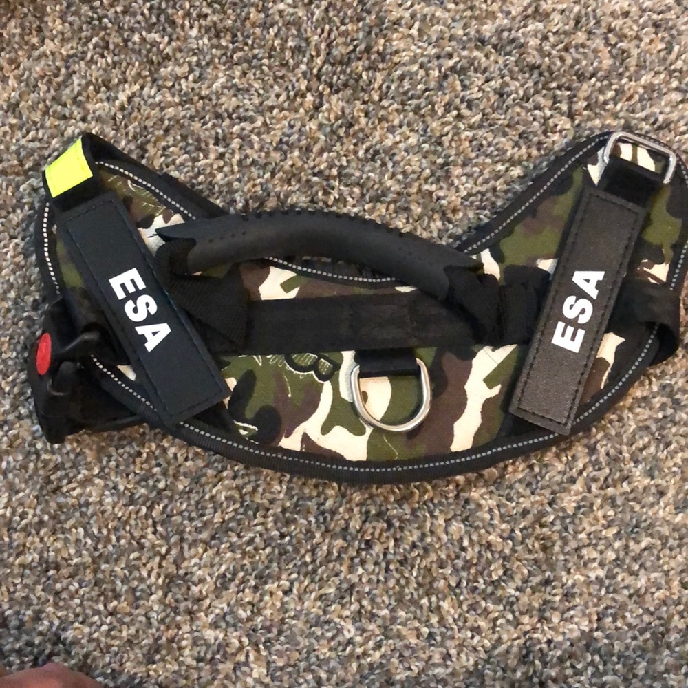 Small dog harness